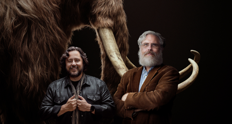 You are currently viewing How Colossal sold investors on a quest to resurrect a woolly mammoth – TechCrunch