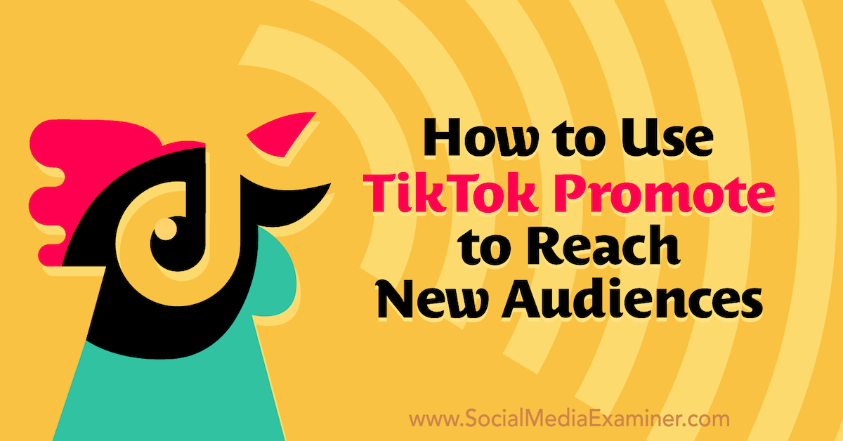 You are currently viewing How to Use TikTok Promote to Reach New Audiences
