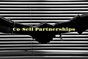 Read more about the article The Startup Magazine Everything You Need To Know To Drive Co-Sell Partnerships
