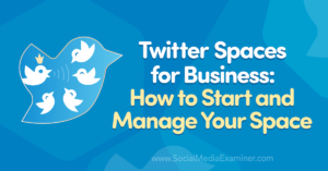 Read more about the article Twitter Spaces for Business: How to Start and Manage Your Space