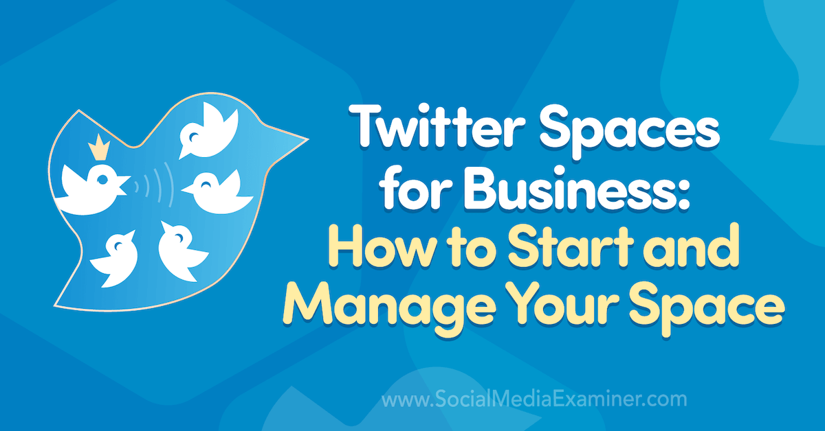 You are currently viewing Twitter Spaces for Business: How to Start and Manage Your Space