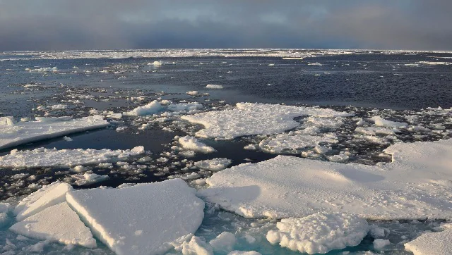 Read more about the article Why increased rainfall in the Arctic is bad news not only for polar region but the whole world- Technology News, FP
