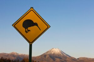Read more about the article When fundraising, New Zealand startup founders should play the ‘Kiwi card’ – TechCrunch