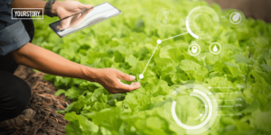 Read more about the article Digitising quality control in farm to fork ecosystem