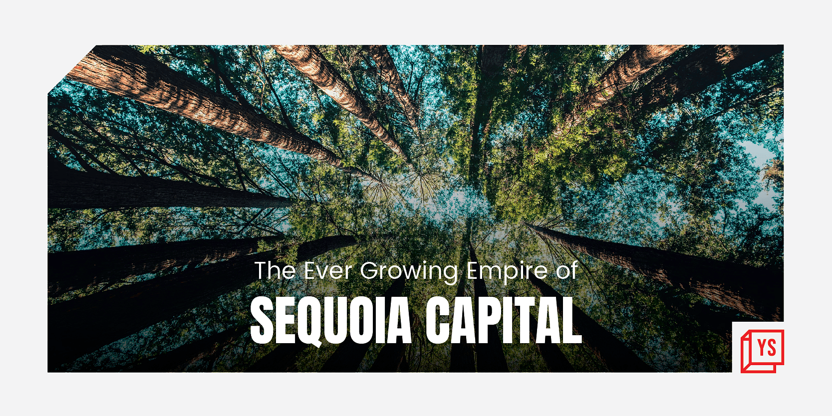 You are currently viewing After a stellar 2021, how does 2022 look for Sequoia India?