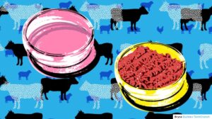Read more about the article Is cell-cultured meat ready for prime time? – TechCrunch