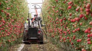 Read more about the article Abundant’s new owner looks to revive the apple-picking robot through equity crowdfunding – TechCrunch