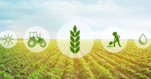 Read more about the article Krishify Raises $6.2 Mn To Develop Social Network For Farmers