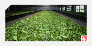 Read more about the article How technology is changing the tea business