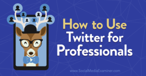 Read more about the article How to Use Twitter for Professionals
