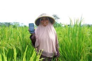 Read more about the article Indonesian agritech AgriAku reaps $6M in pre-Series A funding – TechCrunch