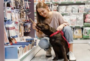 Read more about the article How to Launch a Pet Shop