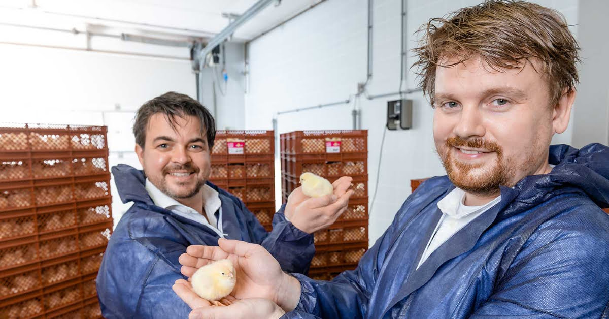 You are currently viewing Leiden-based Agtech scaleup In Ovo secures €34M to prevent killing of day-old male chicks