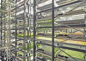 Read more about the article Bowery opens a new vertical farm in Pennsylvania – TechCrunch