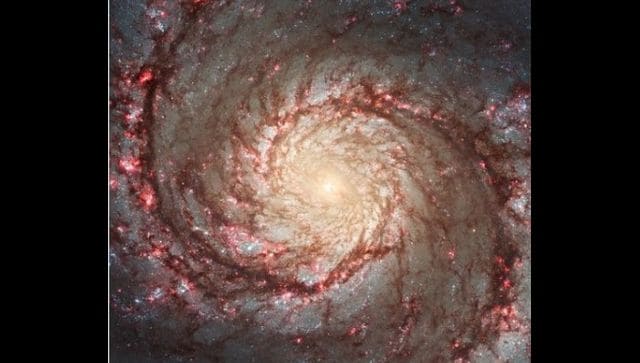 You are currently viewing NASA shares image of Whirlpool Galaxy, internet cannot take its eyes off stunning photo- Technology News, FP