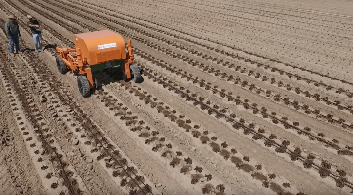 You are currently viewing Agtech robotics firm FarmWise just raised another $45 million – TechCrunch