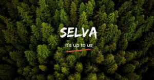 Read more about the article Sustainable startup Selva shuts shop after planting 60,000 trees