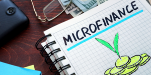 Read more about the article Microfinance lender Annapurna Finance raises $15M from Proparco
