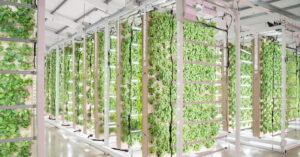 Read more about the article London’s Innovation Agri-Tech Group to support University of Essex in developing indoor crop growth facility