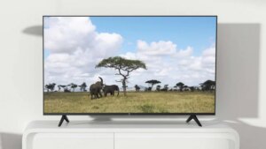 Read more about the article An affordable Ultra HD Android TV sans extra frills- Technology News, FP