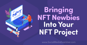 Read more about the article Bringing NFT Newbies Into Your NFT Project