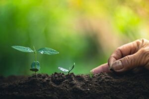Read more about the article Call it venture farming season, because seed rounds are kicking butt – TechCrunch