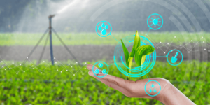 Read more about the article Agritech investments saw 4X growth in 21-22: Kalaari Capital report
