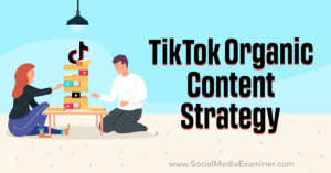 Read more about the article TikTok Organic Content Strategy