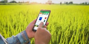 Read more about the article Agritech is set to drive $34 billion of GMV by 2027: Report