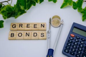 Read more about the article Govt likely to issue green bonds in Jan-March quarter