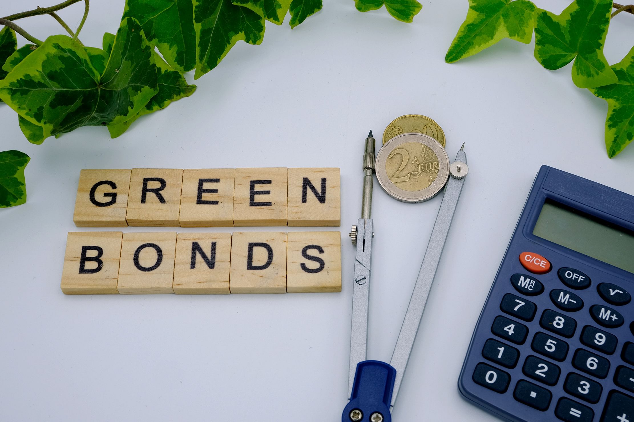 You are currently viewing Govt likely to issue green bonds in Jan-March quarter