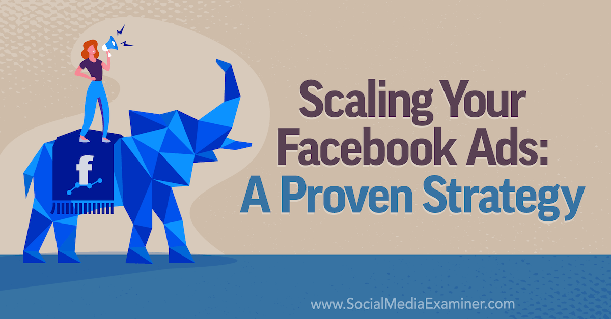 You are currently viewing Scaling Your Facebook Ads: A Proven Strategy