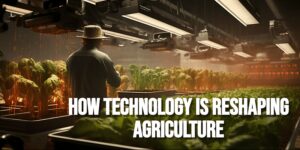 Read more about the article How Technology is Reshaping Agriculture