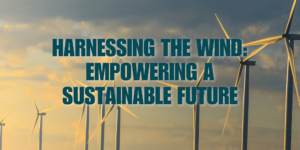 Read more about the article Harnessing the Power of the Wind: Celebrating World Wind Day