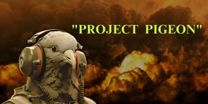 Read more about the article Project Pigeon: When Birds Became the Brain of Guided Missiles