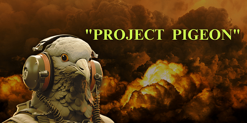 You are currently viewing Project Pigeon: When Birds Became the Brain of Guided Missiles