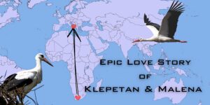 Read more about the article Love Across 13,000km: Klepetan and Malena, the Greatest Love Story of the 21st Century