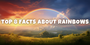 Read more about the article The Science Behind Rainbows: 8 Facts to Amaze You