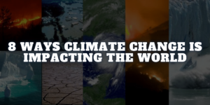 Read more about the article Climate Crisis: 8 Shocking Realities of Climate Change