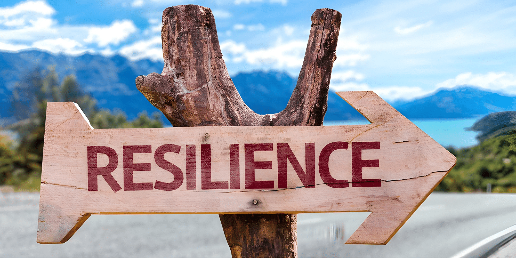 You are currently viewing Mastering Resilience: Effective Strategies to Overcome Adversity