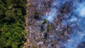 Read more about the article NASA steps in to help Brazil fight Amazon deforestation