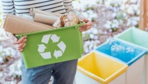 Read more about the article Recycling is a ‘scam’, did more harm than good to the planet, say scientists