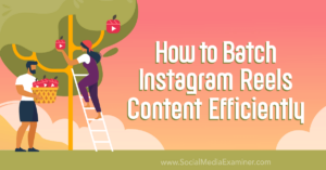 Read more about the article How to Batch Instagram Reels Content Efficiently