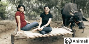 Read more about the article From Weekend Project to $250 Billion Arena: Neetu & Kriti's Animall Journey.