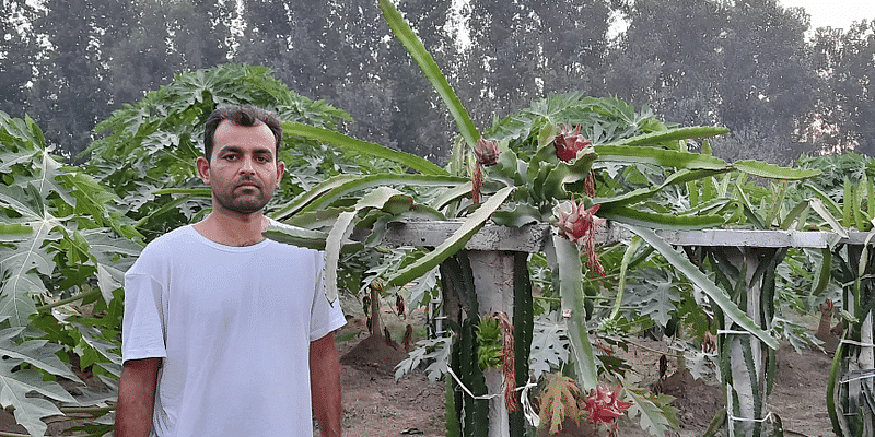 You are currently viewing Raman Salaria: The Engineer Who Became Punjab's Organic Dragon Fruit Pioneer