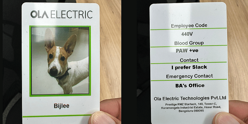 You are currently viewing Ola Electric's New Employee is a Dog Named Bijlee, Reveals CEO Bhavish Aggarwal