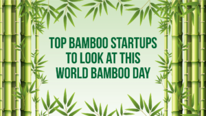 Read more about the article Celebrating world bamboo day: Discover top startups promoting sustainability