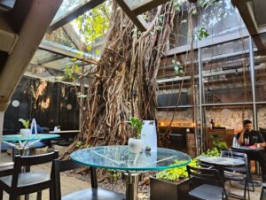 Read more about the article Coffee, comfort, and career: 5 best work cafes in Bengaluru