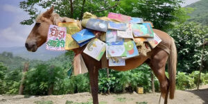 Read more about the article Ghoda Library: Nainital’s Roving Horse Brings Books to Kids!