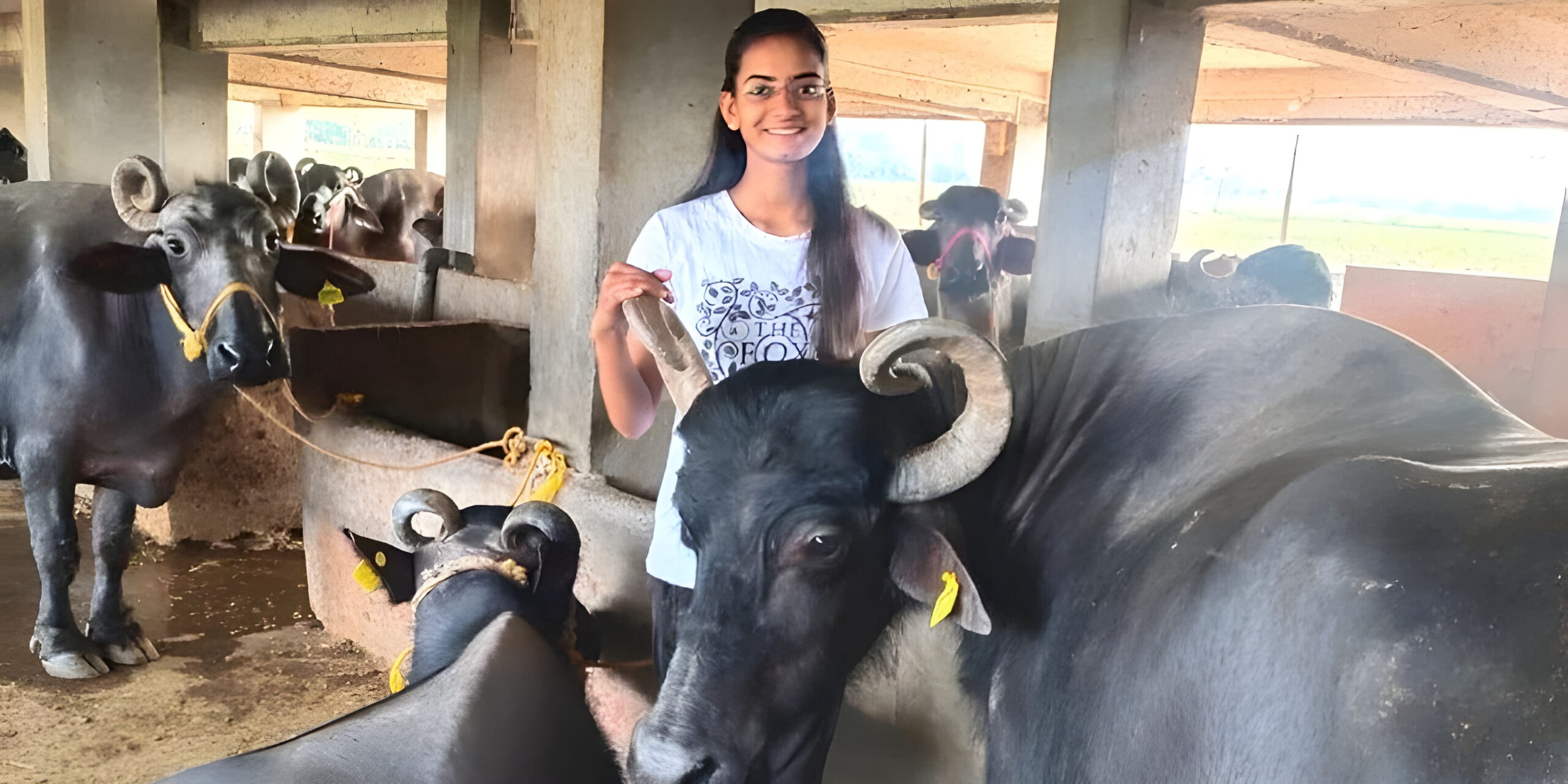 You are currently viewing From Buffalo Girl to Dairy Mogul: Shraddha's Rs 1 Cr Journey